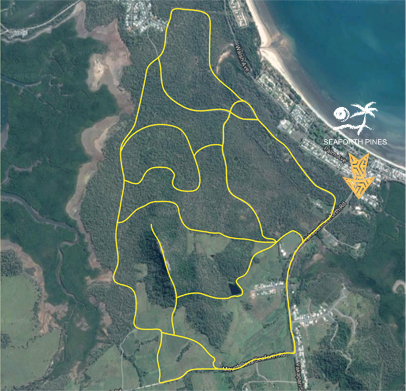 seaforth bush trails with indicator