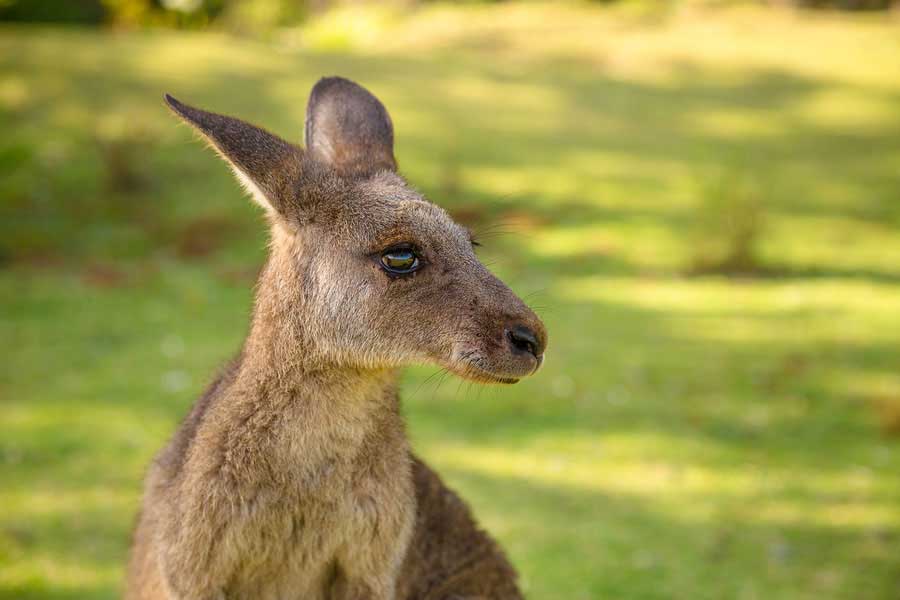 There's plenty to do for your church group in and around Seaforth Pines